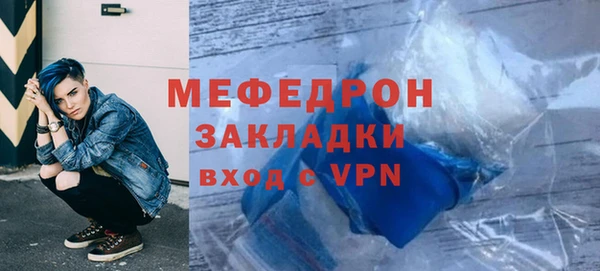 индика Осинники